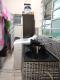 VENDO!!! Uma Casa no Condom&iacute;nio residencial Monte Negro na cidade de Cuiab&aacute;-MT