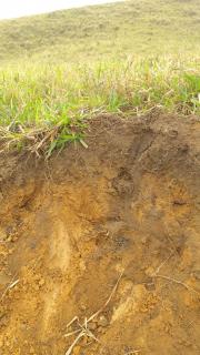 Eun&aacute;polis: Fazenda em Itamaraju. . A 100 km. Jucuru&ccedil;u 10