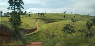 Eun&aacute;polis: Fazenda em Itamaraju. . A 100 km. Jucuru&ccedil;u 13