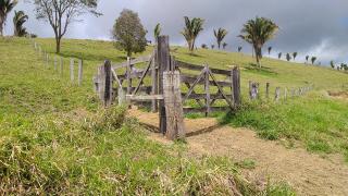 Eun&aacute;polis: Fazenda em Itamaraju. . A 100 km. Jucuru&ccedil;u 14
