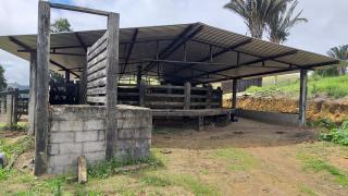 Eun&aacute;polis: Fazenda em Itamaraju. . A 100 km. Jucuru&ccedil;u 19