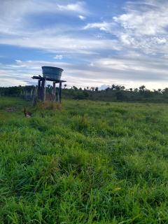 Eun&aacute;polis: Fazenda em Eun&aacute;polis 522 hec 10