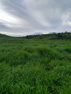 Eun&aacute;polis: Fazenda em Eun&aacute;polis 522 hec 4