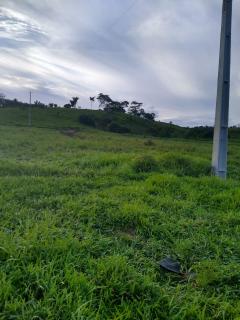 Eun&aacute;polis: Fazenda em Eun&aacute;polis 522 hec 6