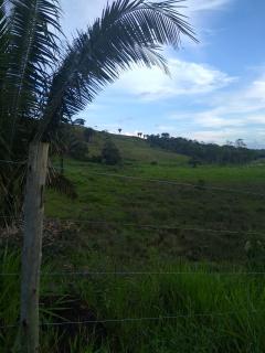 Eun&aacute;polis: Fazenda em Eun&aacute;polis 522 hec 7