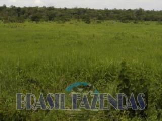 Eun&aacute;polis: Fazenda na Bahia Oeste 21 mil hec 14