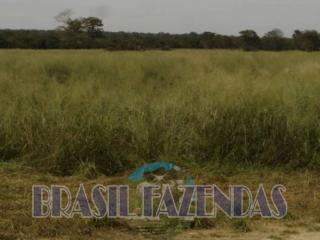 Eun&aacute;polis: Fazenda na Bahia Oeste 21 mil hec 15