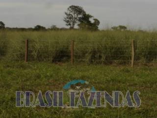 Eun&aacute;polis: Fazenda na Bahia Oeste 21 mil hec 19