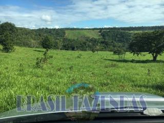 Eunápolis: Fazenda em Porto Seguro.212 hectares.Excelente fazenda. 2