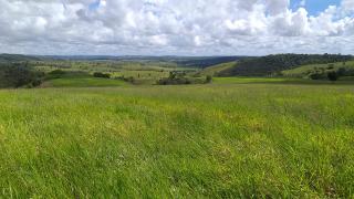 Eun&aacute;polis: Fazenda em Eun&aacute;polis. 15 alqueires 2