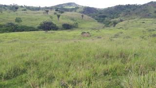 Eun&aacute;polis: Fazenda em Eun&aacute;polis. 15 alqueires 8
