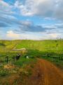 Eun&aacute;polis: Fazenda no Par&aacute;.  Pacaja