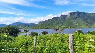 Fortaleza: FAZENDA 100 HECTARES EM MARANGUAPE. MUITA ÁGUA. 1