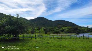 Fortaleza: FAZENDA 100 HECTARES EM MARANGUAPE. MUITA ÁGUA. 15