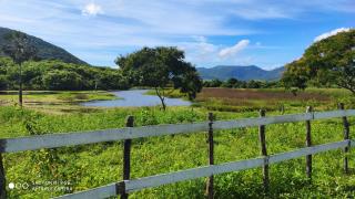 Fortaleza: FAZENDA 100 HECTARES EM MARANGUAPE. MUITA ÁGUA. 7