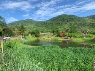 Fortaleza: SÍTIO 10 HECTARES EM CIMA DA SERRA. ESTRUTURADO. AÇUDE. PISCINA. 14