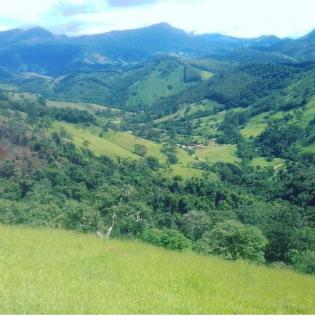 Baependi: Terreno com área de 4 Hectares em Alagoa/MG 2