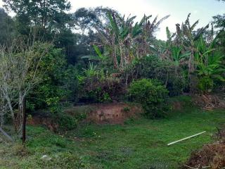 Baependi: Chácara de 15.000 M² com um barracão em Baependi/MG 9