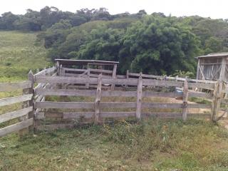 Baependi: Sitio &oacute;timo de 6 Hectares em S&atilde;o Thom&eacute; das Letras/MG 11