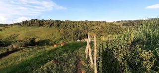 Baependi: Sitio &oacute;timo de 6 Hectares em S&atilde;o Thom&eacute; das Letras/MG 15