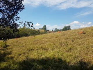 Baependi: Sitio de 4 Hectares em Caxambu/MG 1