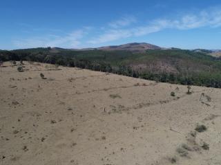 Baependi: Fazenda ótima de 188 hectares em Serranos/MG 5