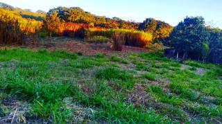 Baependi: Fazenda em Soledade de Minas &aacute;rea de 29 Hectares 11