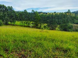 Baependi: Fazenda em Soledade de Minas &aacute;rea de 29 Hectares 2