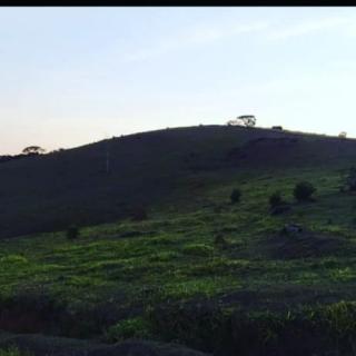 Baependi: Sitio Excelente em S&atilde;o Thom&eacute;, com &aacute;rea de 10 Hectares 4