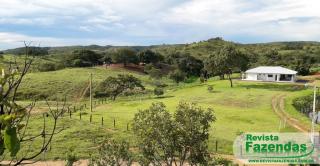 Cuiabá: 410 Hectares Acorizal MT Pecuária Rica Em Água Com Lago Para Prática De Esportes Náuticos 2