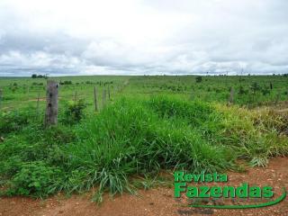 Cuiabá: 245 Hectares Toda Aberta Dupla Aptidão 30% De Entrada 70% Divididos Em 09 Parcelas Anuais 2