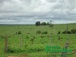 Cuiabá: 245 Hectares Toda Aberta Dupla Aptidão 30% De Entrada 70% Divididos Em 09 Parcelas Anuais 3