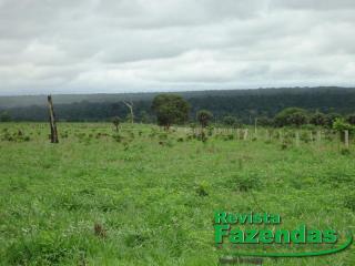 Cuiabá: 245 Hectares Toda Aberta Dupla Aptidão 30% De Entrada 70% Divididos Em 09 Parcelas Anuais 4