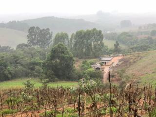 Baependi: Sitio de 9 hectares a venda em Cruzília/MG 13