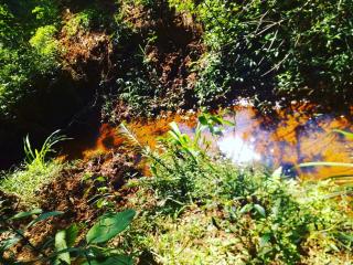 Baependi: Sitio de 41 hectares em Cruz&iacute;lia-MG 6
