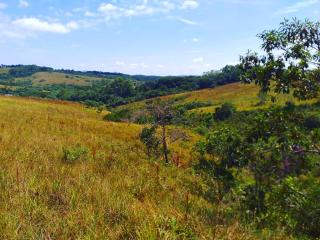 Baependi: Sitio de 41 hectares em Cruz&iacute;lia-MG 8