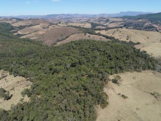 Baependi: Fazenda ótima 188 Hectares em Serranos-MG 11