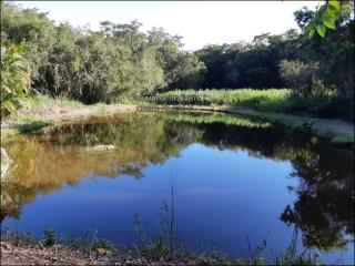 Biritiba-Mirim: Chácara com um gigante lago, próximo a cidade de Biritiba 7