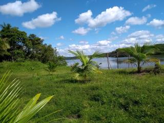 Valen&ccedil;a: Fazenda com 130 hectares &agrave; Venda em Jaguaripe-Bahia. 3
