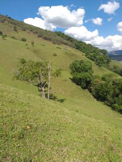 Baependi: Sitio a venda em Baependi/MG 44 hectares com 2 casas 8