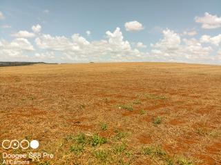 Ponta Grossa: FAZENDA EM GUARAPUAVA 7