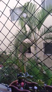 Santo André: Apartamento Aconchegante em São Bernardo do Campo - Demarchi - Ótima Localização. 10