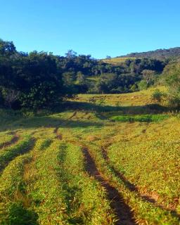 Baependi: Sitio em Baependi a venda  2