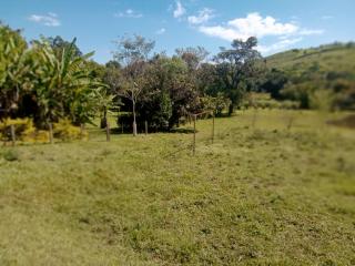 Taubat&eacute;: BEL&Iacute;SSIMO E ACONCHEGANTE SITIO DE 4,5270 HECTARES 15