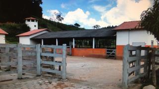 Taubaté: Magnifica fazenda de 40 alqueires em Lagoinha a 8 Km da Cidade. 36
