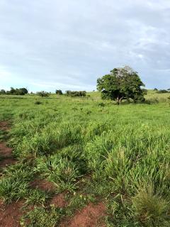 Itapema: 2.568 há em Pedra Preta MT 17