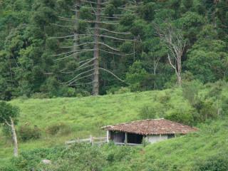 Baependi: Sitio 3,9 hectares Serra da mantiqueira MG 6