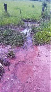 Belo Horizonte: S&iacute;tio 7 Qtos &agrave; Venda, 12 hectares, R$ 1 milh&atilde;o, B. Azurita, em Mateus Leme MG (zeg-29) 1