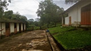 Belo Horizonte: S&iacute;tio 7 Qtos &agrave; Venda, 12 hectares, R$ 1 milh&atilde;o, B. Azurita, em Mateus Leme MG (zeg-29) 13