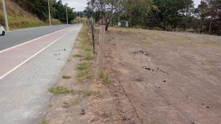 Taubaté: Excelente sítio de 36,300 m2 no Quiririm, ótima localização 5